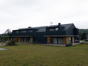Villa in Cerny Dul 800 m from ski resort Černý Důl